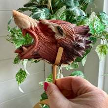 Load image into Gallery viewer, Hand Carved Mookaite Jasper Wolf Head with Custom Stand
