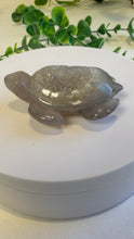 Load image into Gallery viewer, Druzy Agate Turtle (Tod)
