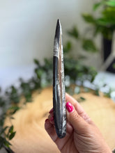 Load image into Gallery viewer, Orthoceras Fossil| Natural Polished Orthoceras Fossil
