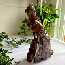 Load image into Gallery viewer, Ocean Jasper Skull with Phoenix|Home Decor|Crystal Decor
