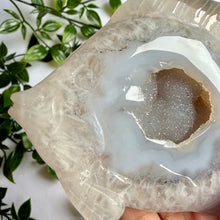 Load image into Gallery viewer, Druzy Agate Fish on Custom Gold Stand
