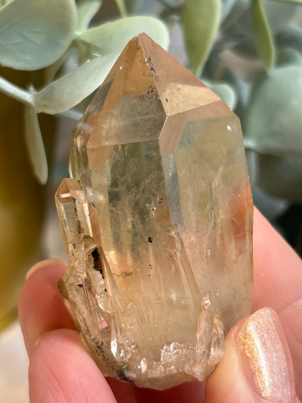 Kundalini Citrine|Raw Crystal|Consciously Sourced|Crystal Cluster