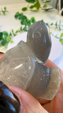 Load image into Gallery viewer, Druzy Agate Tortoise (Andy)
