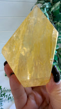 Load image into Gallery viewer, Golden Healer Freeform from Brazil
