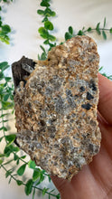 Load image into Gallery viewer, Black Tourmaline on Matrix with Quartz from Erongo
