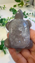 Load image into Gallery viewer, Druzy Agate Tortoise (Andy)

