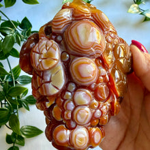Load image into Gallery viewer, Carnelian Money Frog|Three Legged Money Toad
