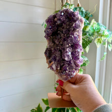 Load image into Gallery viewer, Stunning Amethyst Cluster on Pink Amethyst Matrix from Brazil with Custom Gold Stand
