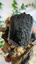 Load image into Gallery viewer, Black Tourmaline on Matrix with Quartz from Erongo
