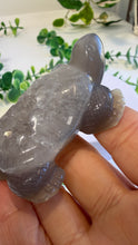 Load image into Gallery viewer, Druzy Agate Tortoise (Andy)
