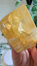 Load image into Gallery viewer, Golden Healer Freeform from Brazil
