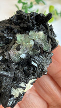 Load image into Gallery viewer, Black Tourmaline with Fluorite Specimen from Erongo
