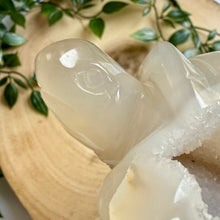 Load image into Gallery viewer, Druzy Agate Tortoise Carving|Hand Carved
