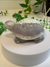 Load image into Gallery viewer, Agate Tortoise with Amethyst
