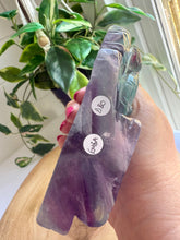 Load image into Gallery viewer, Fluorite Dragon Carving
