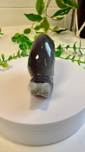 Load image into Gallery viewer, Druzy Agate Snail Carving (Matilda)

