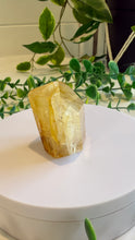 Load image into Gallery viewer, Golden Healer Freeform from Brazil
