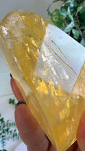 Load image into Gallery viewer, Golden Healer Freeform from Brazil
