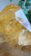 Load image into Gallery viewer, Golden Healer Freeform from Brazil
