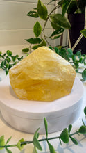 Load image into Gallery viewer, Golden Healer Freeform from Brazil
