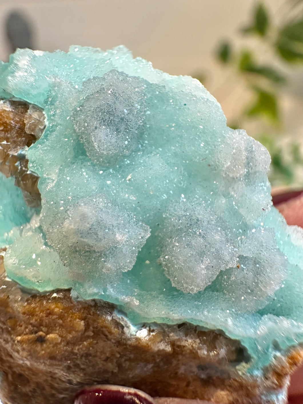 Rare Druzy Chrysocolla