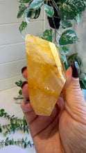 Load image into Gallery viewer, Golden Healer Freeform from Brazil
