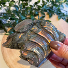 Load image into Gallery viewer, Labradorite Dolphins Carving
