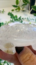 Load image into Gallery viewer, Quartz Tortoise with Inclusions (Drew)
