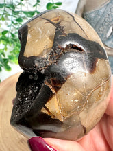 Load image into Gallery viewer, Septarian Dragon Egg from Madagascar
