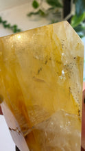 Load image into Gallery viewer, Golden Healer Freeform from Brazil
