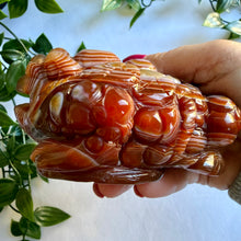 Load image into Gallery viewer, Carnelian Money Frog|Three Legged Money Toad
