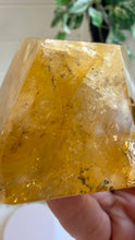 Load image into Gallery viewer, Golden Healer Freeform from Brazil
