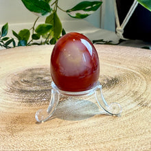 Load image into Gallery viewer, Carnelian Egg with Acrylic Stand
