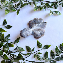 Load image into Gallery viewer, Stunning Banded Agate Hand Carved Fish

