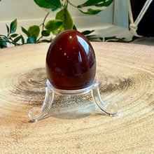 Load image into Gallery viewer, Carnelian Egg with Acrylic Stand
