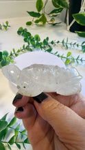 Load image into Gallery viewer, Quartz Tortoise with Inclusions (Drew)
