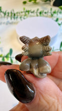 Load image into Gallery viewer, Alashan Agate Dragon Carving
