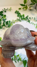 Load image into Gallery viewer, Agate Tortoise with Amethyst
