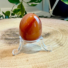 Load image into Gallery viewer, Carnelian Egg with Acrylic Stand
