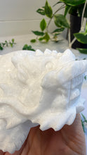 Load image into Gallery viewer, White Sparkley Jade Marble Dragon Turtle
