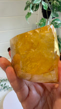 Load image into Gallery viewer, Golden Healer Freeform from Brazil
