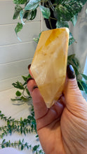 Load image into Gallery viewer, Golden Healer Freeform from Brazil
