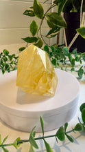Load image into Gallery viewer, Golden Healer Freeform from Brazil
