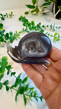 Load image into Gallery viewer, Druzy Agate Snail Carving (Matilda)
