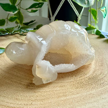 Load image into Gallery viewer, Druzy Agate Tortoise Carving|Hand Carved
