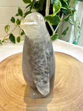 Load image into Gallery viewer, Druzy Agate Penguin Carving - Slider
