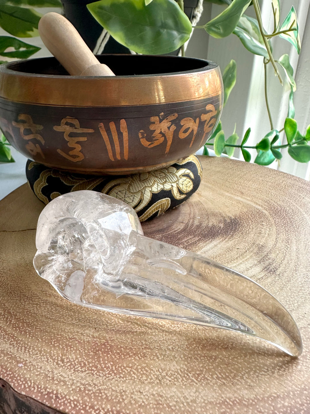 Clear Quartz Raven Skull Carving - Boris