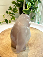 Load image into Gallery viewer, Druzy Agate Penguin Carving - Icey B
