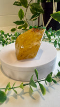 Load image into Gallery viewer, Golden Healer Freeform from Brazil
