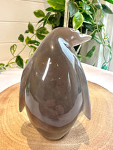 Load image into Gallery viewer, Druzy Agate Penguin Carving - Popsicle
